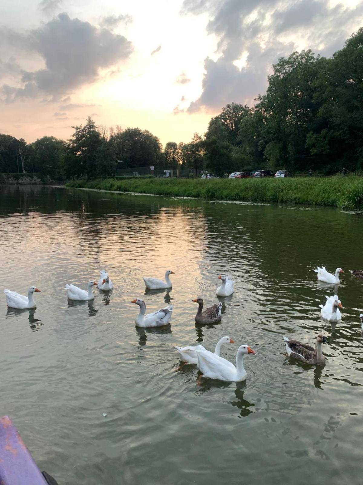 Nuit Insolite A Bord D'Une Peniche, 6 Personnes Bergues Exterior photo